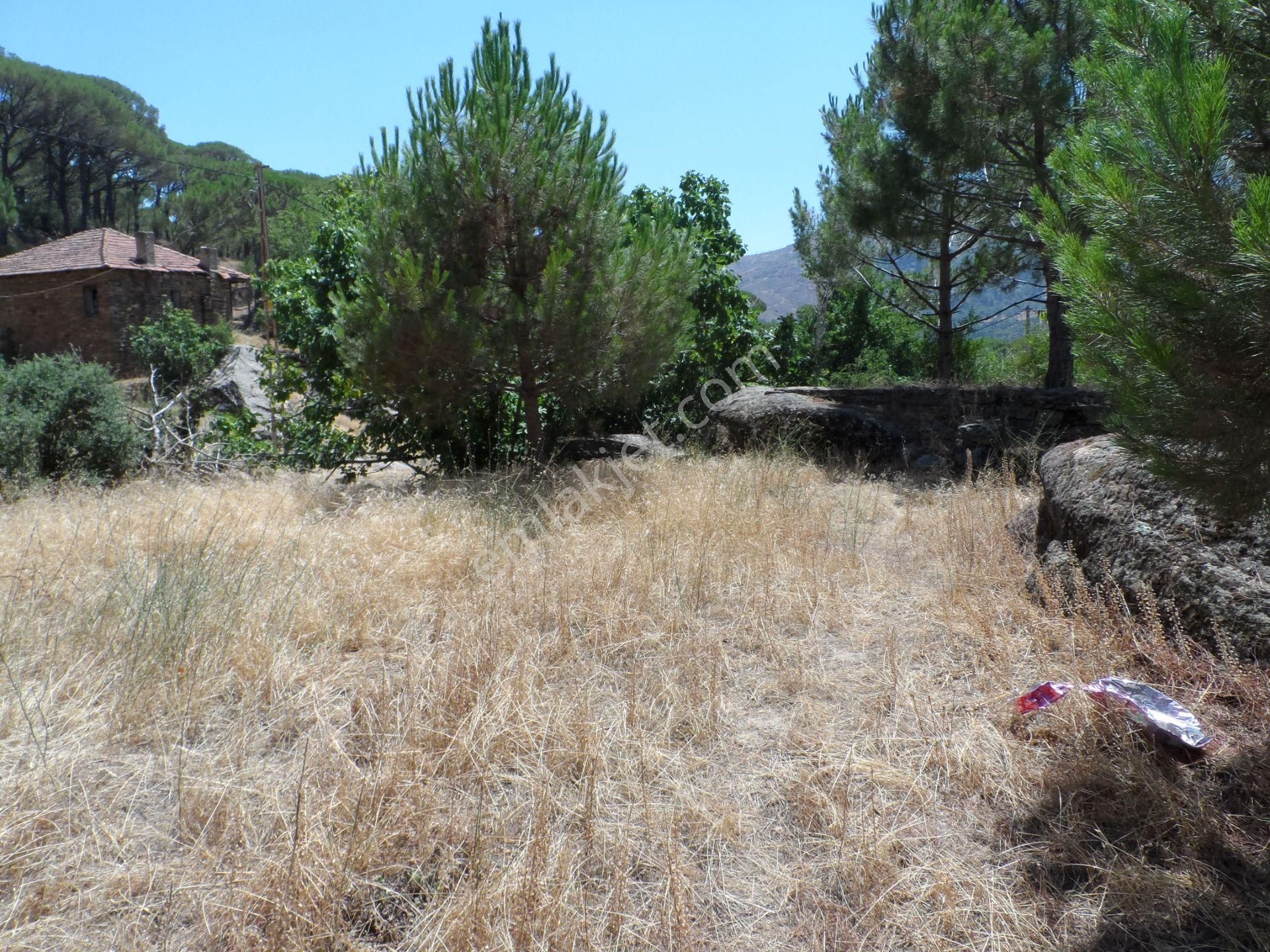 Nazilli Ege Emlak Ofisinden Bozdoğan Altıntaş Mah. Satılık Köy Evi Ve Arsa - Görsel 25