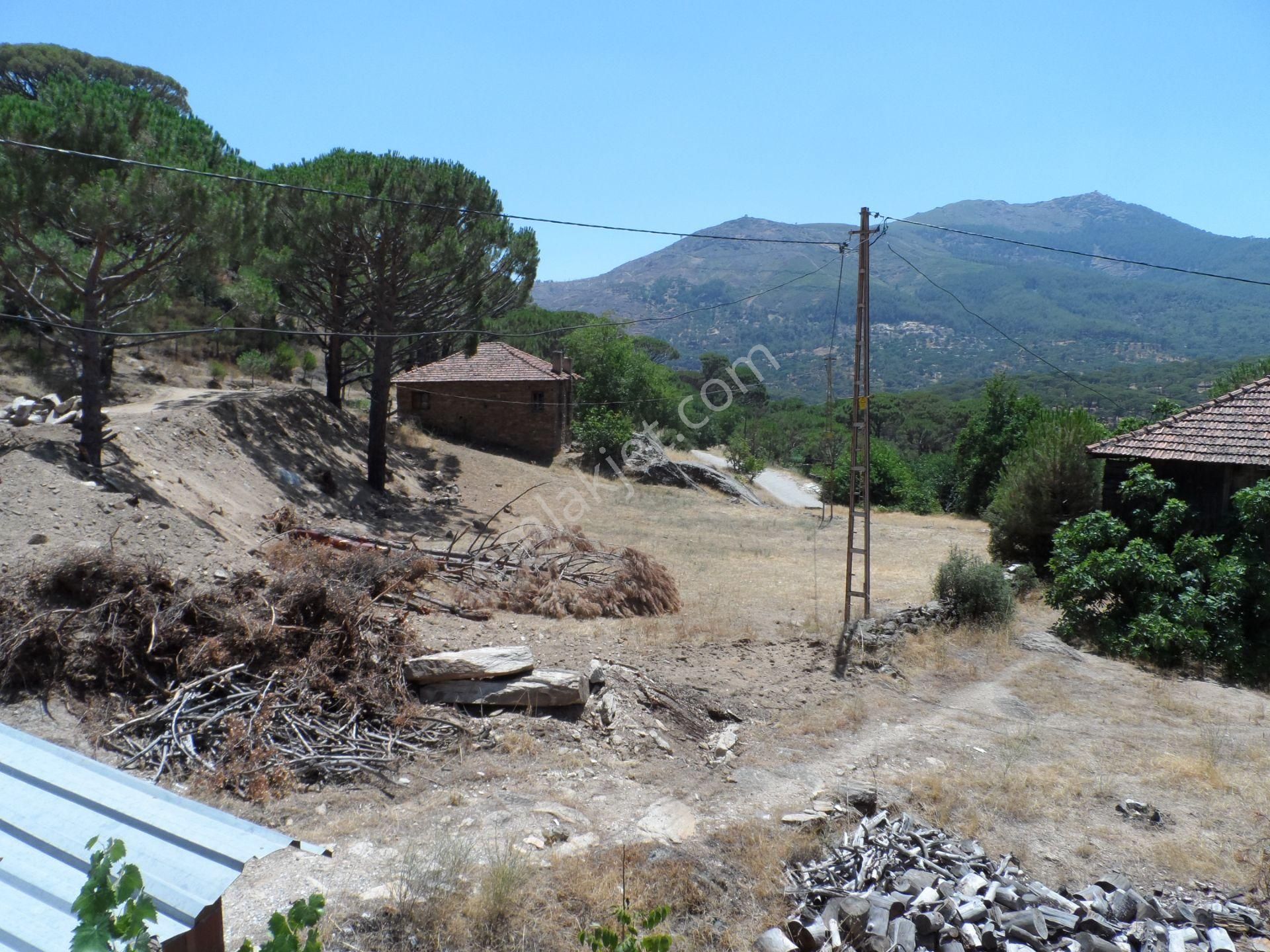 Nazilli Ege Emlak Ofisinden Bozdoğan Altıntaş Mah. Satılık Köy Evi Ve Arsa - Görsel 34