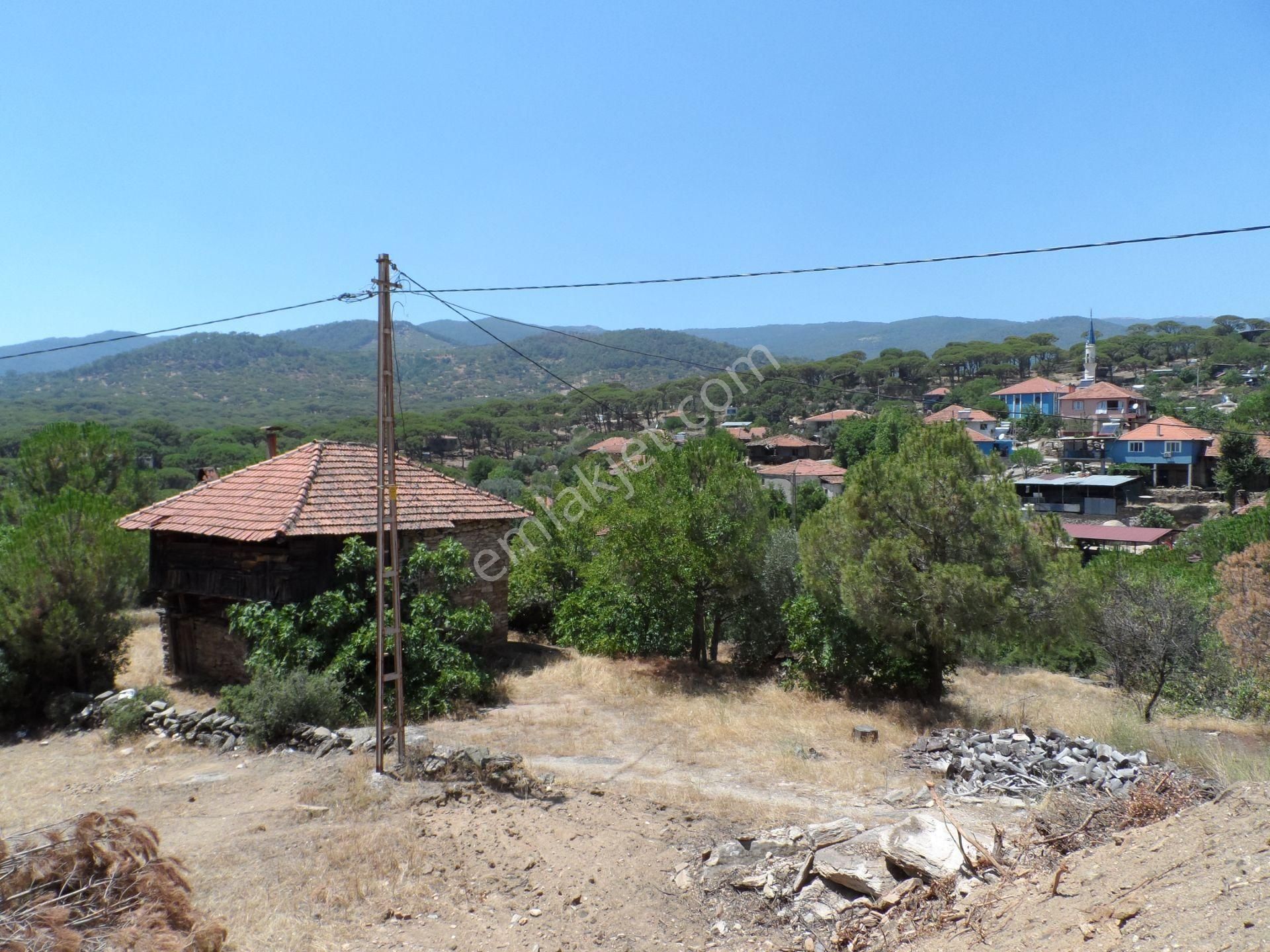 Nazilli Ege Emlak Ofisinden Bozdoğan Altıntaş Mah. Satılık Köy Evi Ve Arsa - Görsel 31