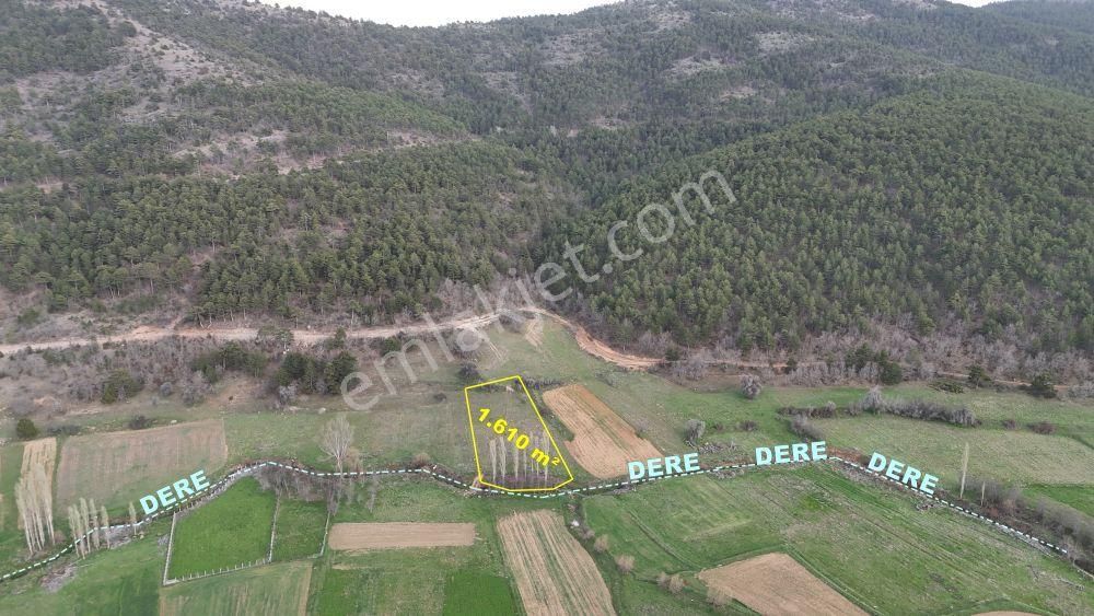 Konya / Ilgın / Gökbudak Mahallesinde 1.610 M² Müstakil Tapulu Tarla