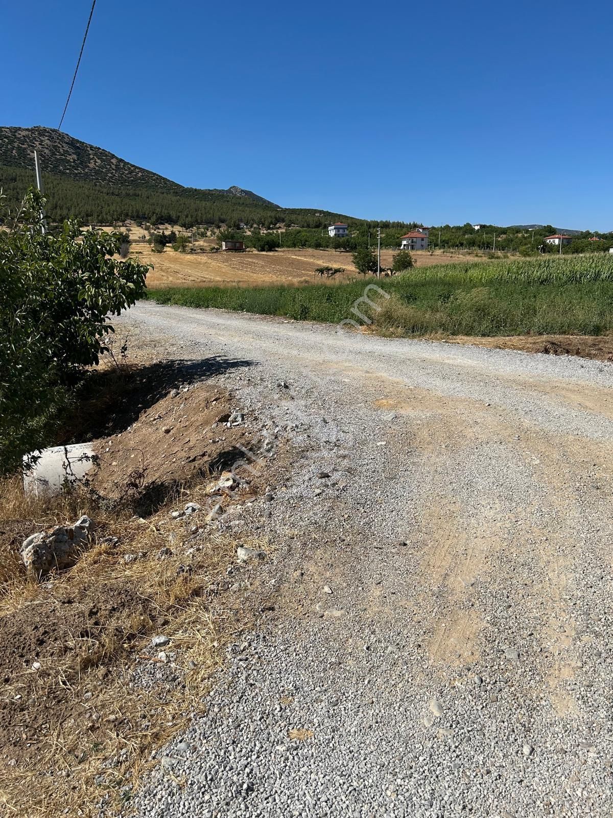 Altun’dan Satılık 6 Dönüm Ceviz Bahçesi Ve 70 M2 Ruhsatlı Ev! - Görsel 8