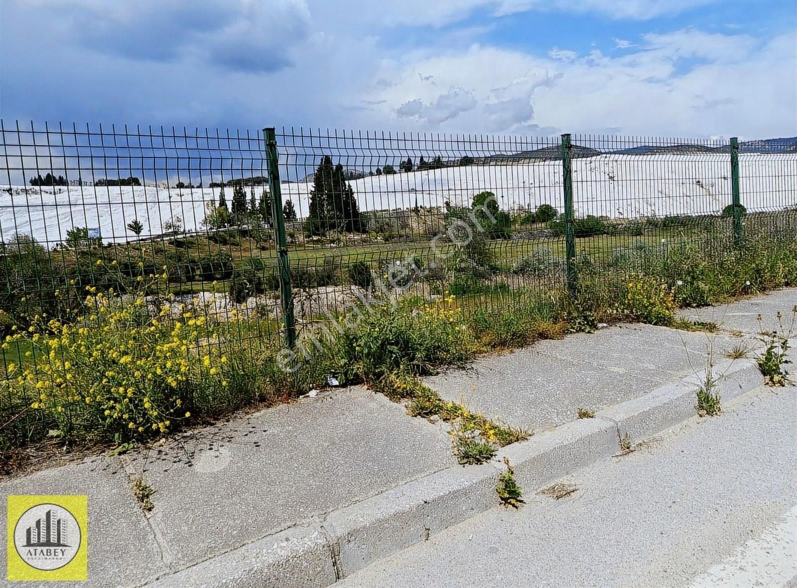 Atabey'den Pamukkale Kurtluca'da Satılık Zeytinlik