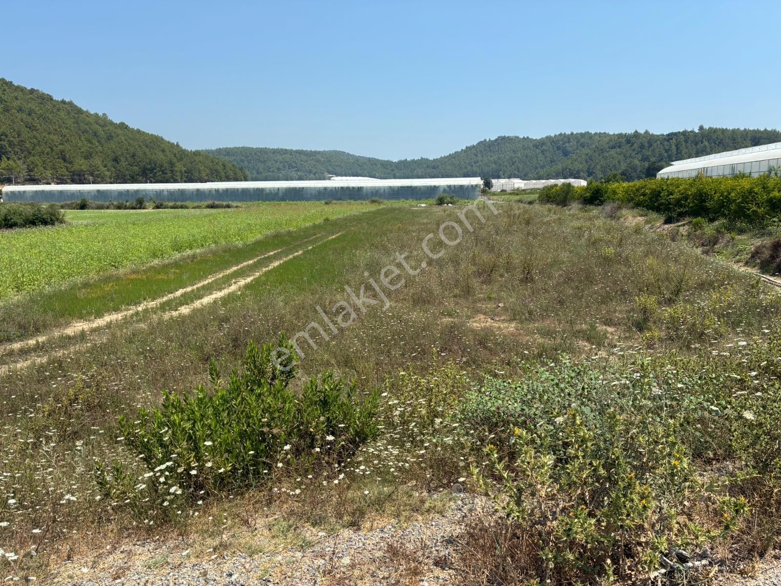 Antalya - Manavgat Uzunlar Mahallesinde Satılık Tarla - Görsel 8