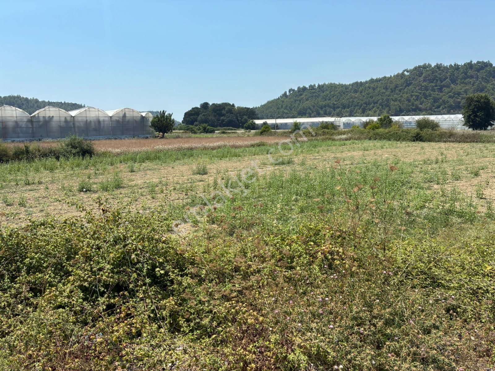 Antalya - Manavgat Uzunlar Mahallesinde Satılık Tarla - Görsel 5