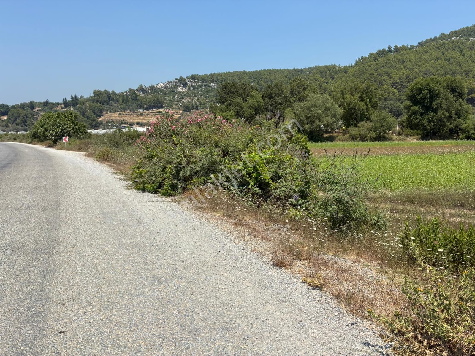 Antalya - Manavgat Uzunlar Mahallesinde Satılık Tarla - Görsel 7