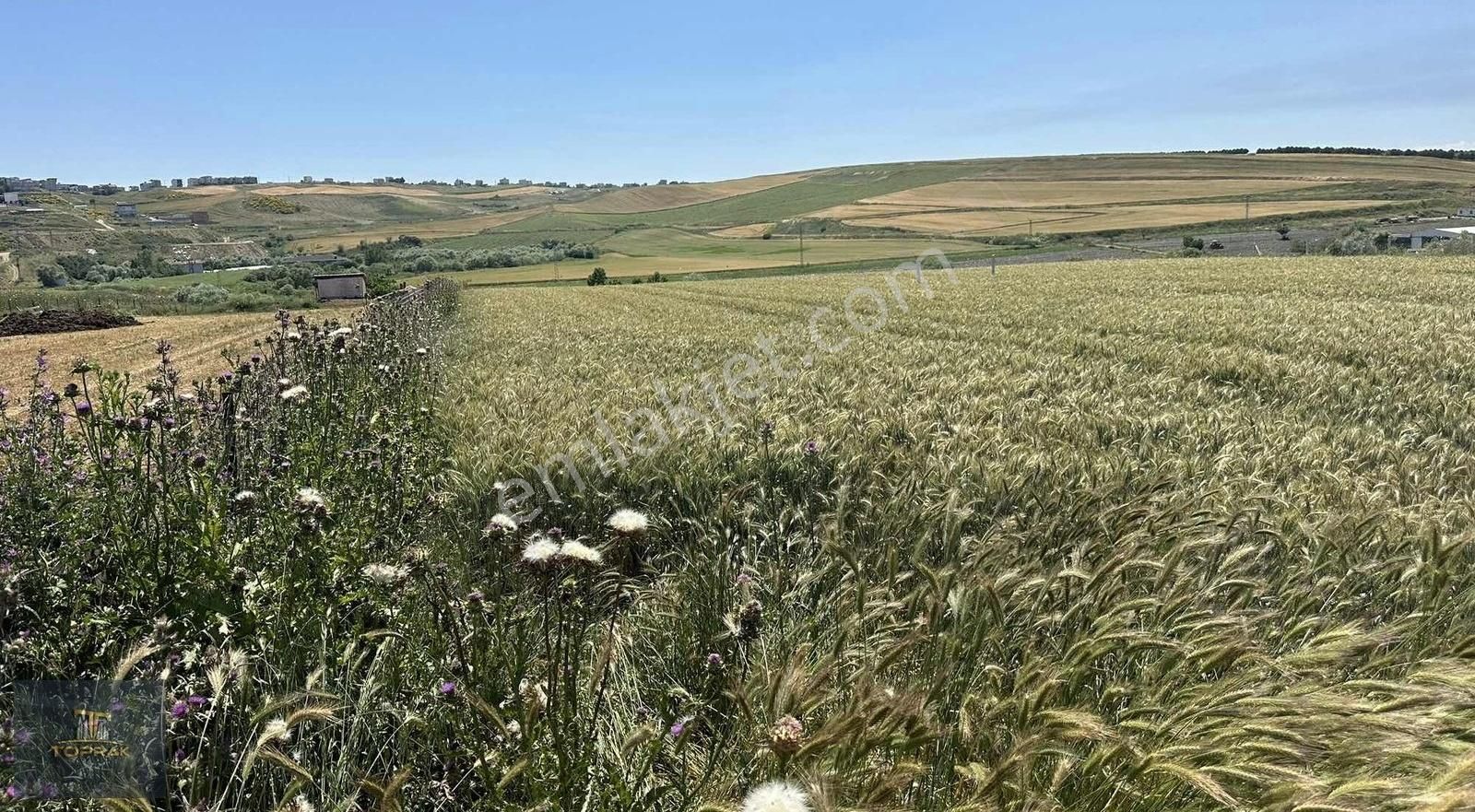 ▇toprak Arsa Ofisi▇꧂480 M2 Yatırımlık Parseller