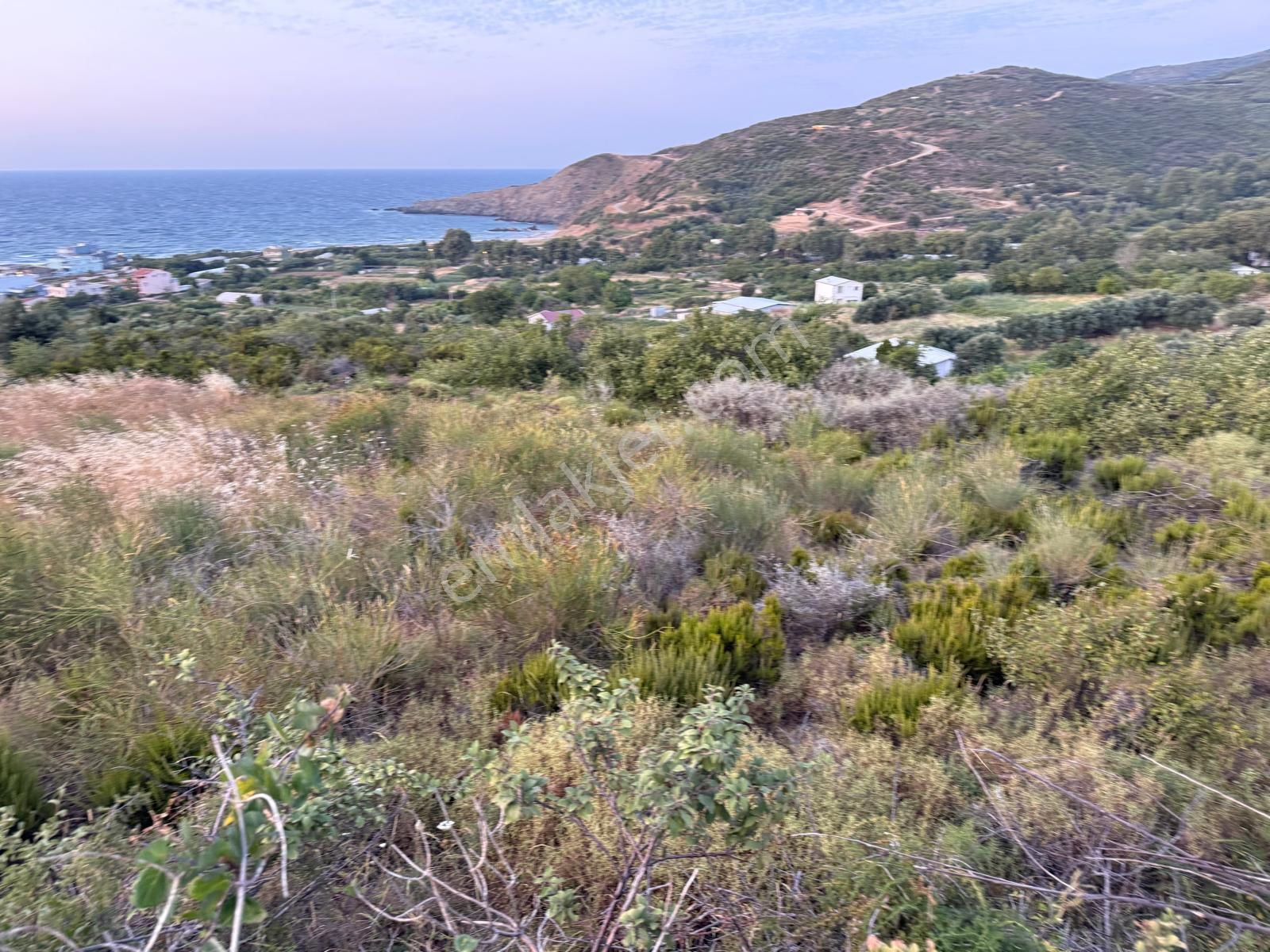 Sahil Yenice Mahallesinde 924 M2 Satılık Tarla