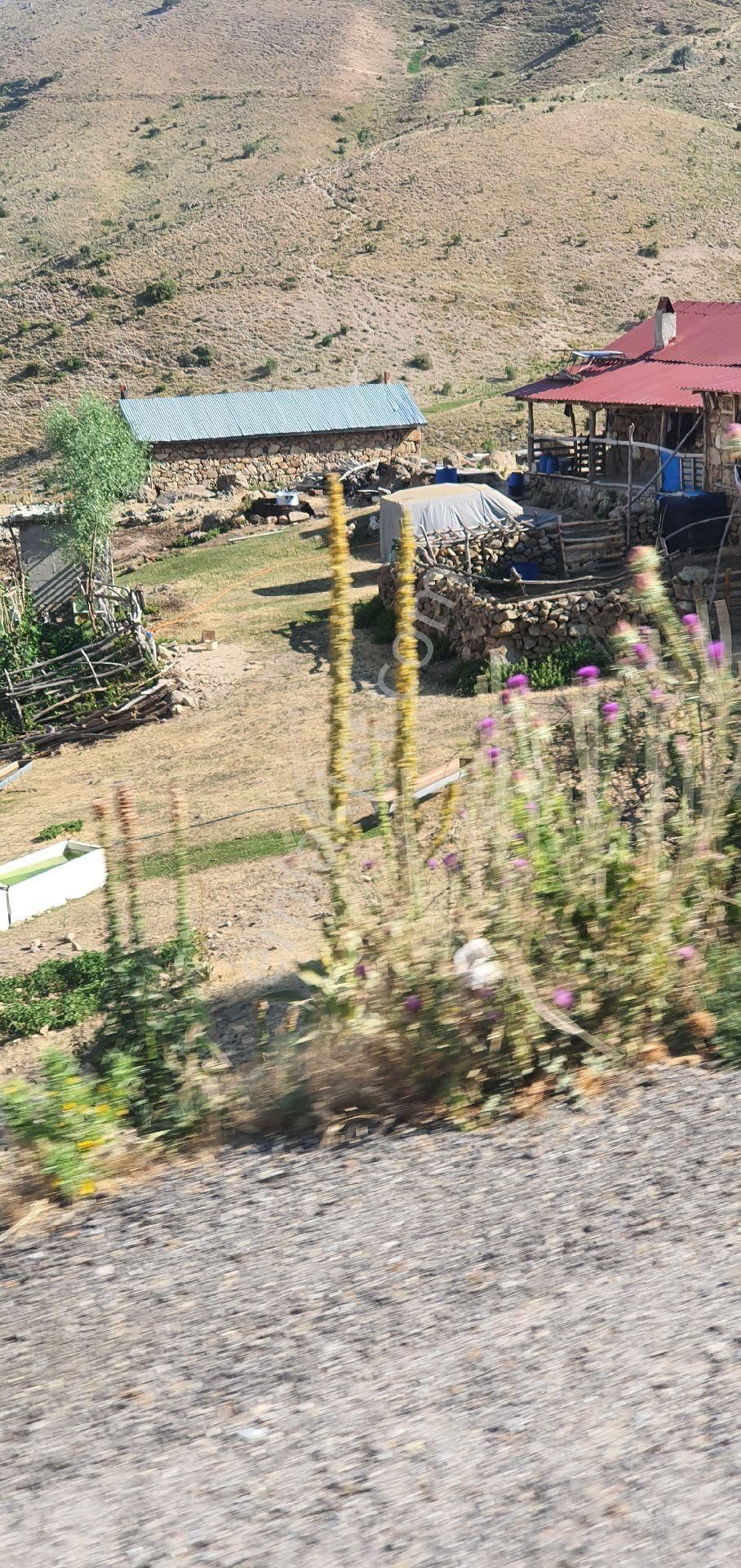 Afyon Şuhut Hayvancılığa Uygun 3700 M2 Arazi