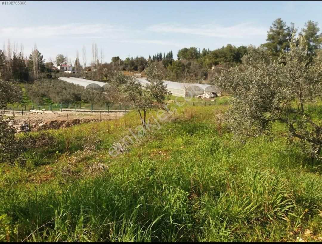 Stop’tan Seydikemer Girmeler 4341m² Arazi - Görsel 3