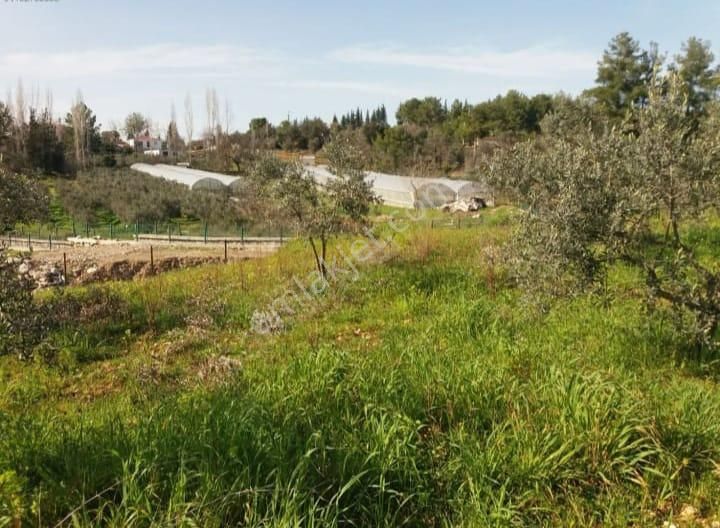 Stop’tan Seydikemer Girmeler 4341m² Arazi - Görsel 4