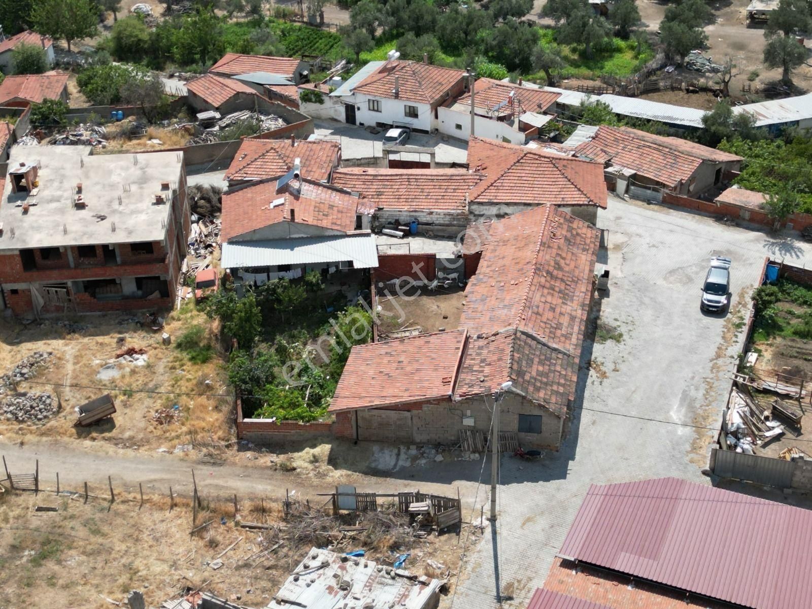 Sabri Pınarbaşı'ndan Havran Çamdibi'nde Satılık 556m2 Arsa İçinde Köy Evi - Görsel 5