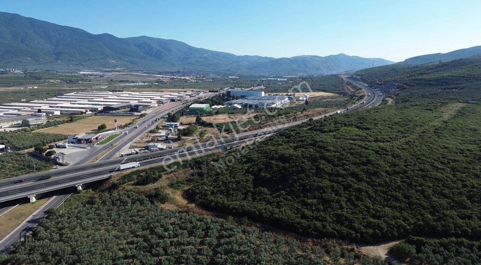 Nova Realty'den Çeltikçi'de Muhteşem Lokasyonlu Zeytinlik - Görsel 5