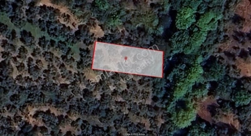 Nova Realty'den Çakırlı'da Göl Manzaralı Düz Zeminli Zeytinlik