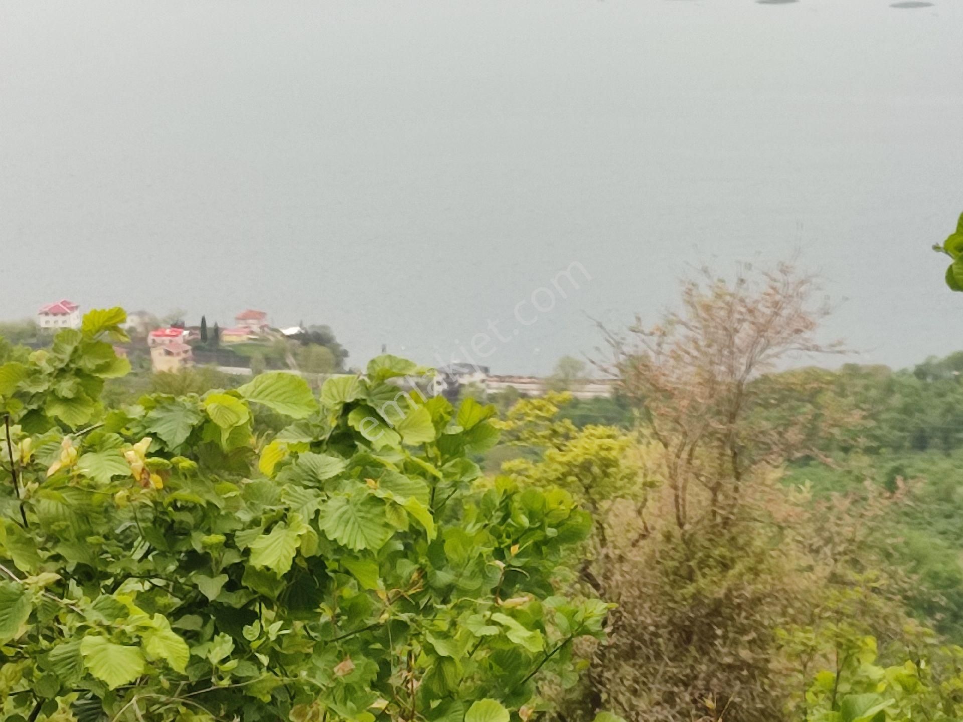 Fume Emlaktan Kaleköy De Satılık Full Deniz Manzaralı Araziler - Görsel 7