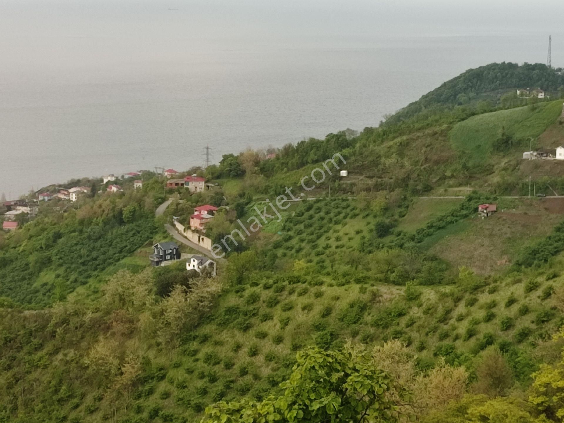 Fume Emlaktan Kaleköy De Satılık Full Deniz Manzaralı Araziler - Görsel 2