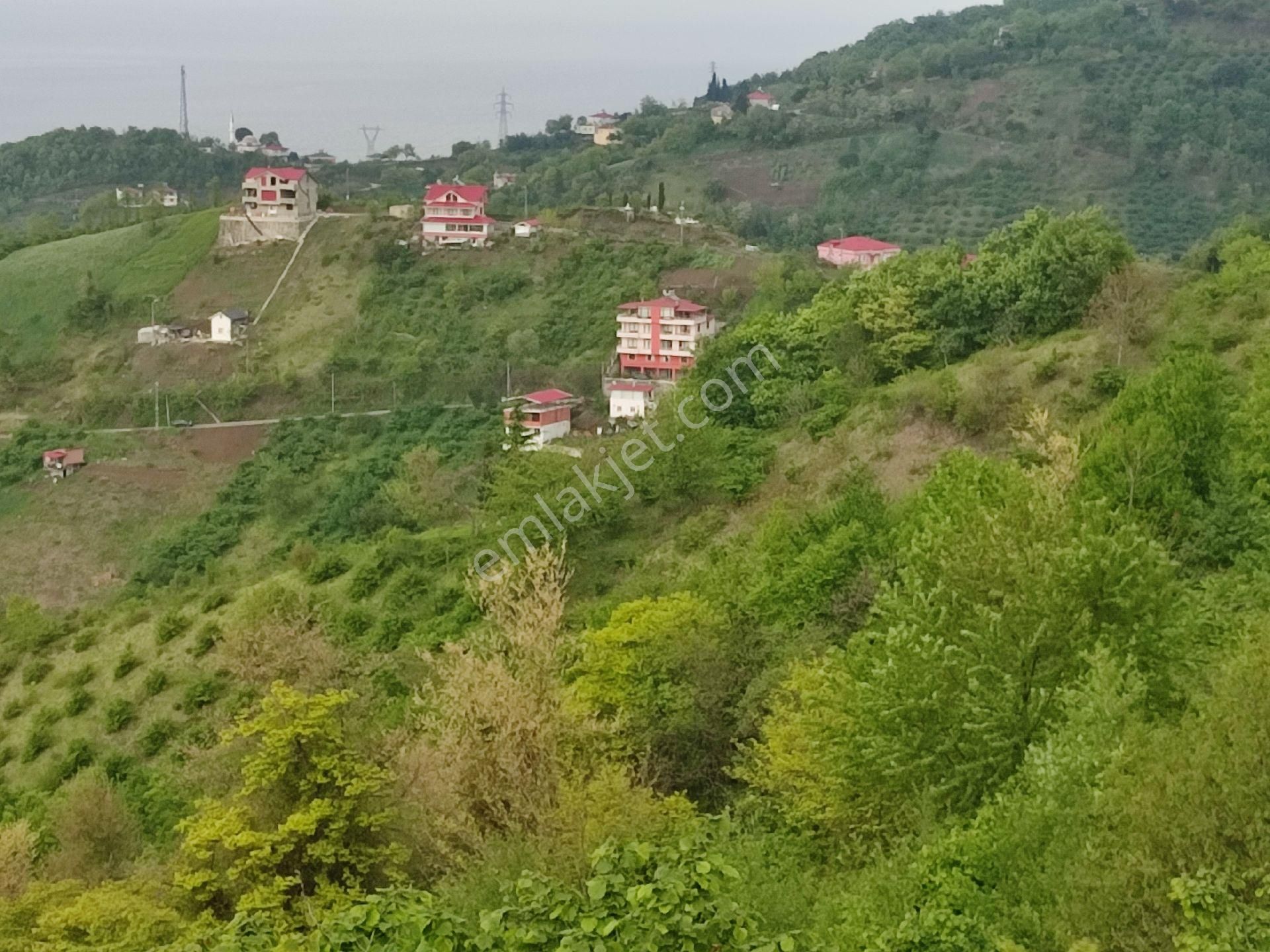 Fume Emlaktan Kaleköy De Satılık Full Deniz Manzaralı Araziler - Görsel 3