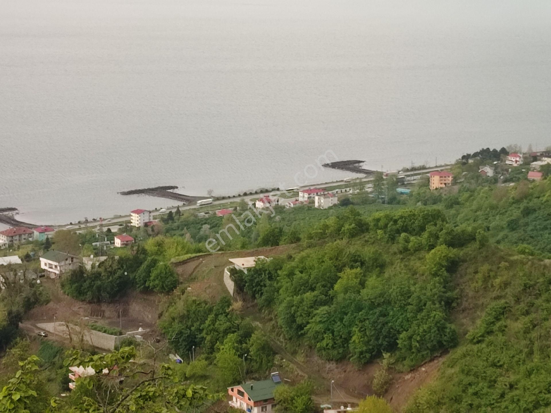 Fume Emlaktan Kaleköy De Satılık Full Deniz Manzaralı Araziler - Görsel 4
