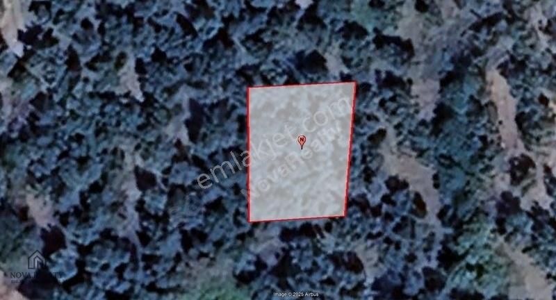 Nova Realty'den Dutluca'da Tarihi İnzik Gölüne Yakın Zeytinlik - Görsel 4