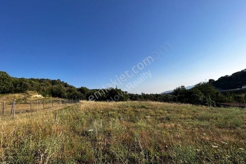 Nova'dan Yeniköy'de Otoyola Yakın Satılık 2789 M2 Fırsat Arazi - Görsel 2