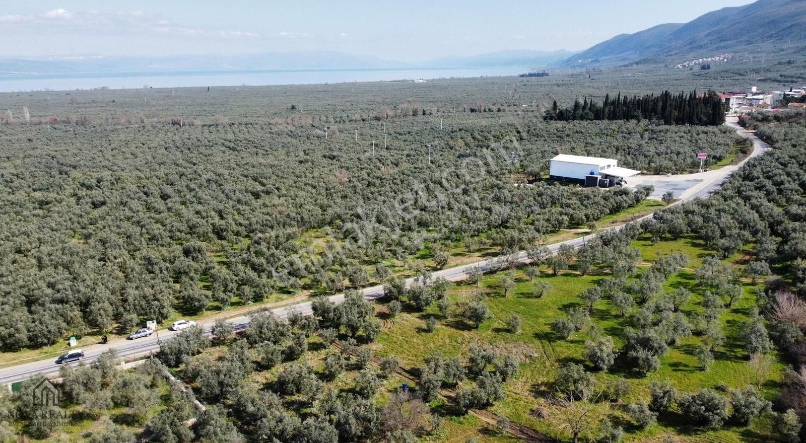Nova Realty'den Yenisölöz Mahallesinde Asfalt Cepheli Zeytinlik - Görsel 6