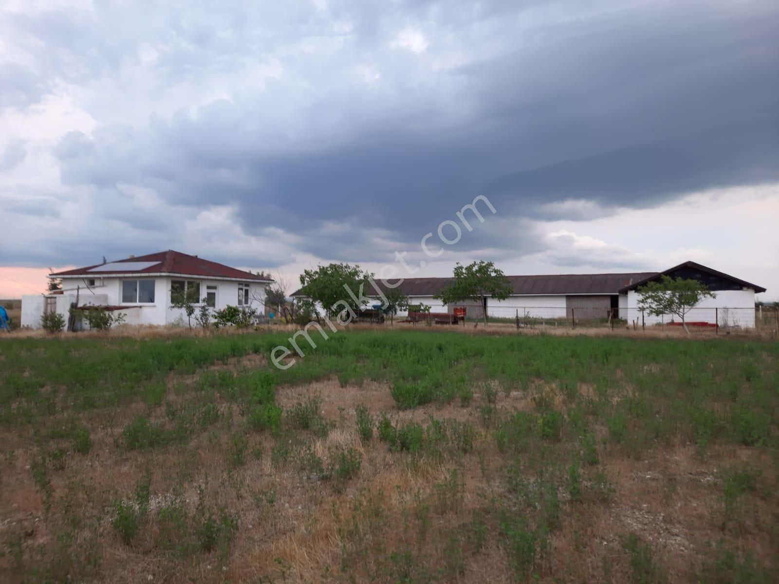 Satılık Vizede 35 Dönüm Arazisi İle Beraber Çiftlik - Görsel 3