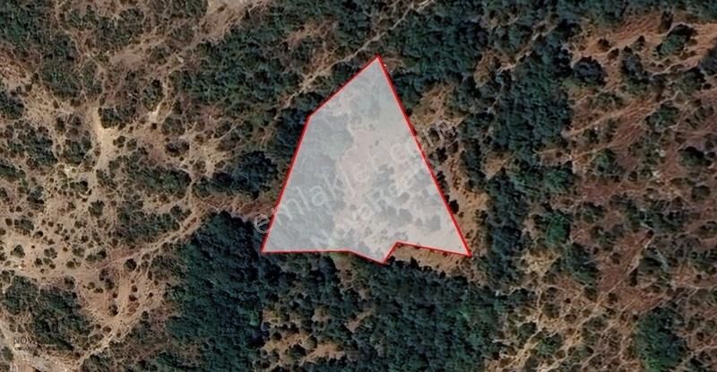 Novarealty'den Çakırlı'da Yatırımlık Tarla