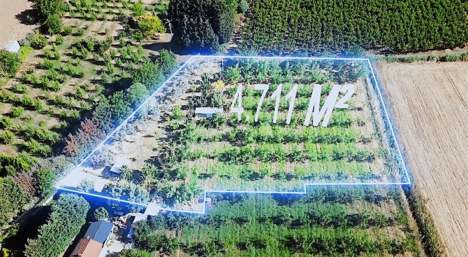 Nova Realty'den Yeniköy'de Resmi Yola Cephe Harika Cevizlik - Görsel 3