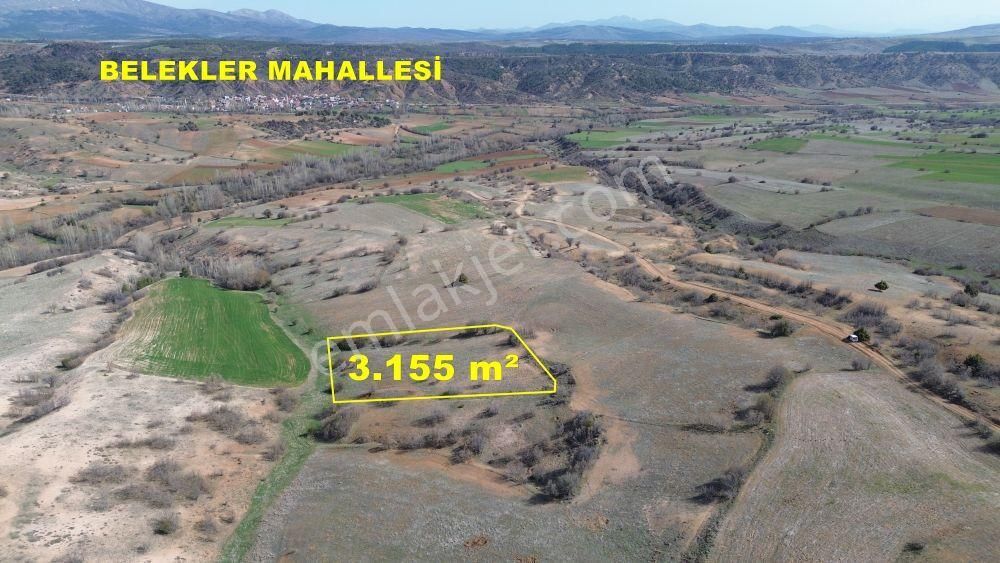 Konya / Ilgın / Belekler Mahallesinde 3.155 M² Müstakil Tapulu Tarla