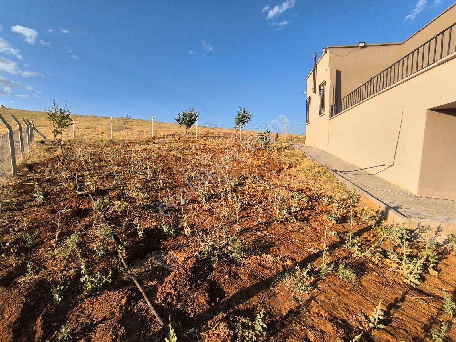 World İlkevim'den Yazlık - Kışlık Satılık Bağ Evi - Görsel 6