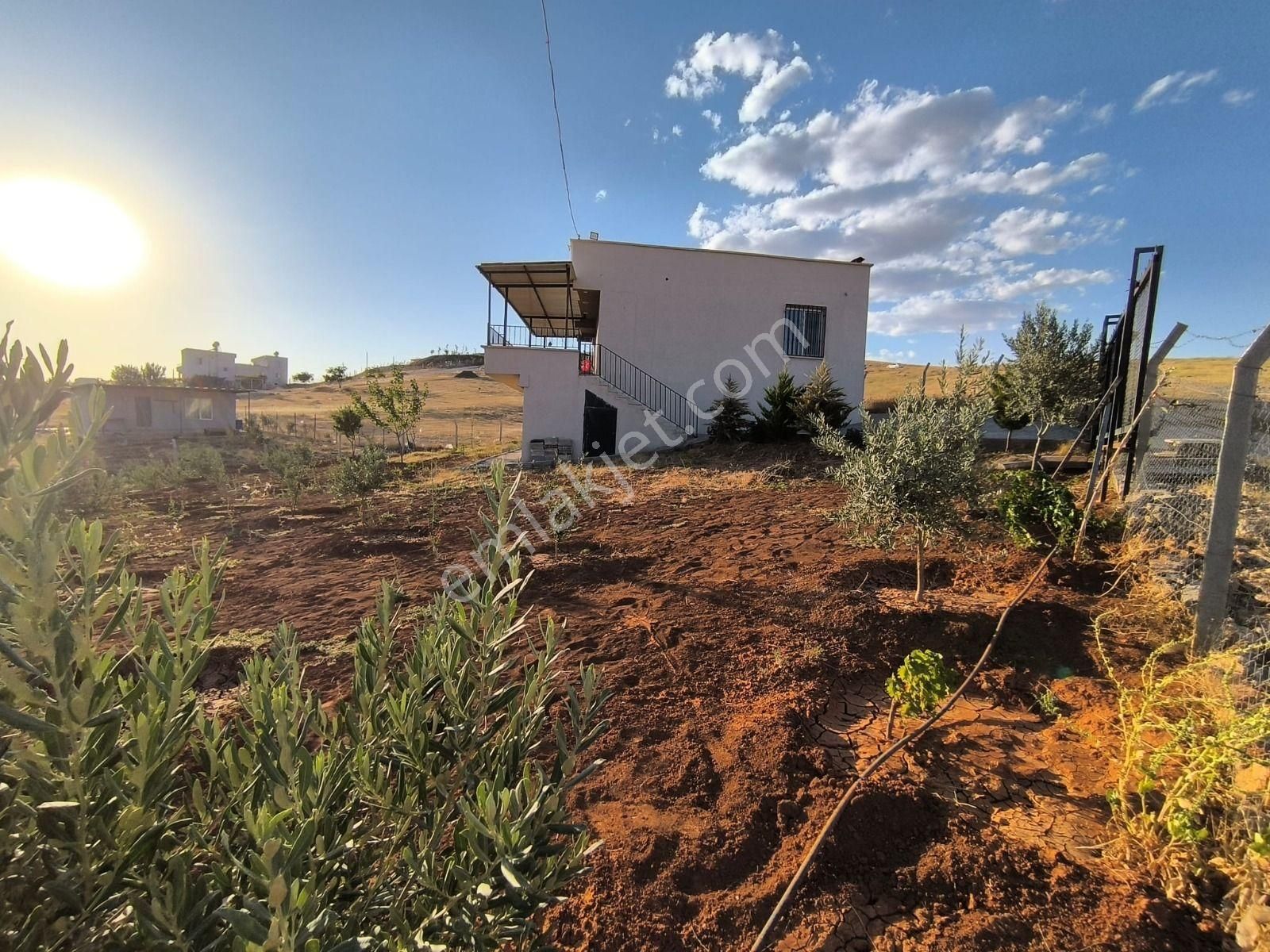 World İlkevim'den Yazlık - Kışlık Satılık Bağ Evi - Görsel 3