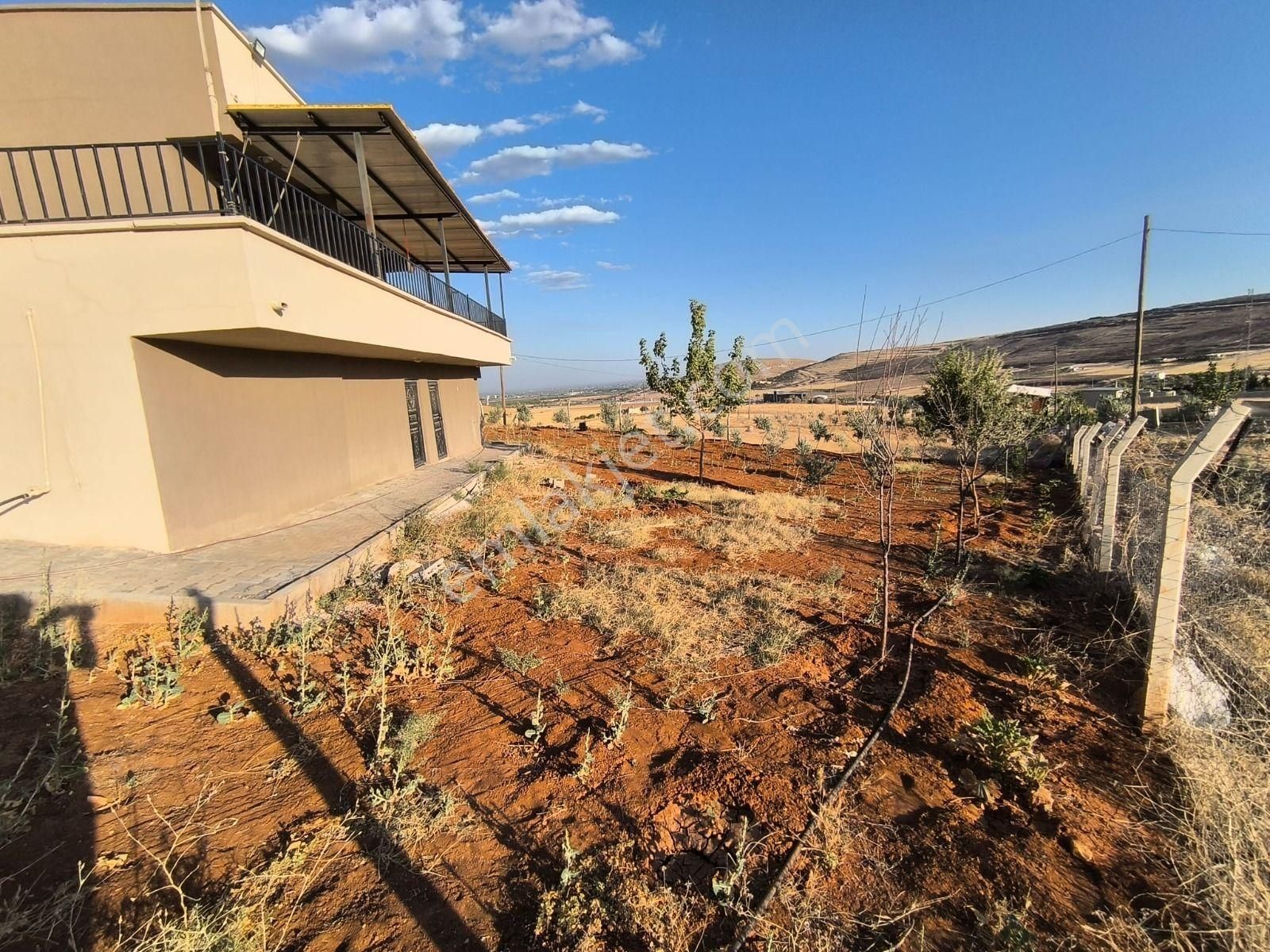 World İlkevim'den Yazlık - Kışlık Satılık Bağ Evi - Görsel 7