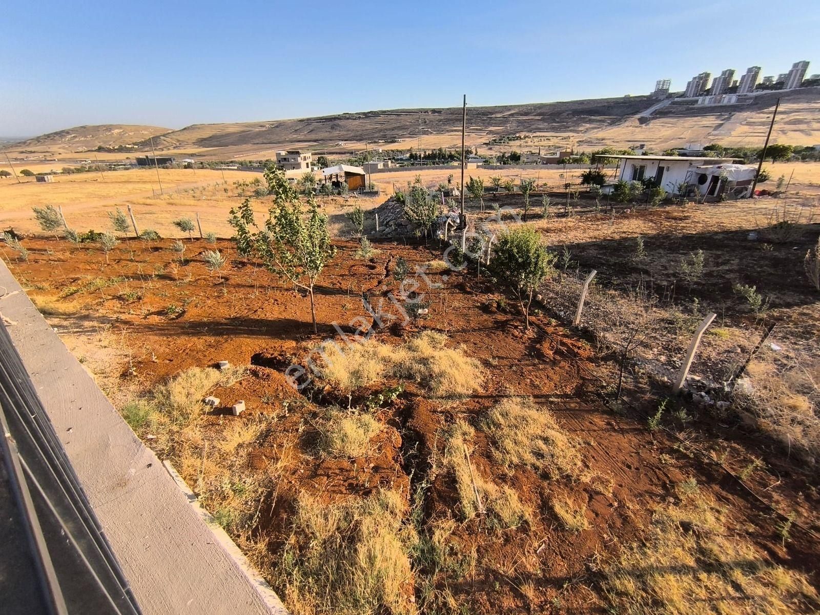 World İlkevim'den Yazlık - Kışlık Satılık Bağ Evi - Görsel 8