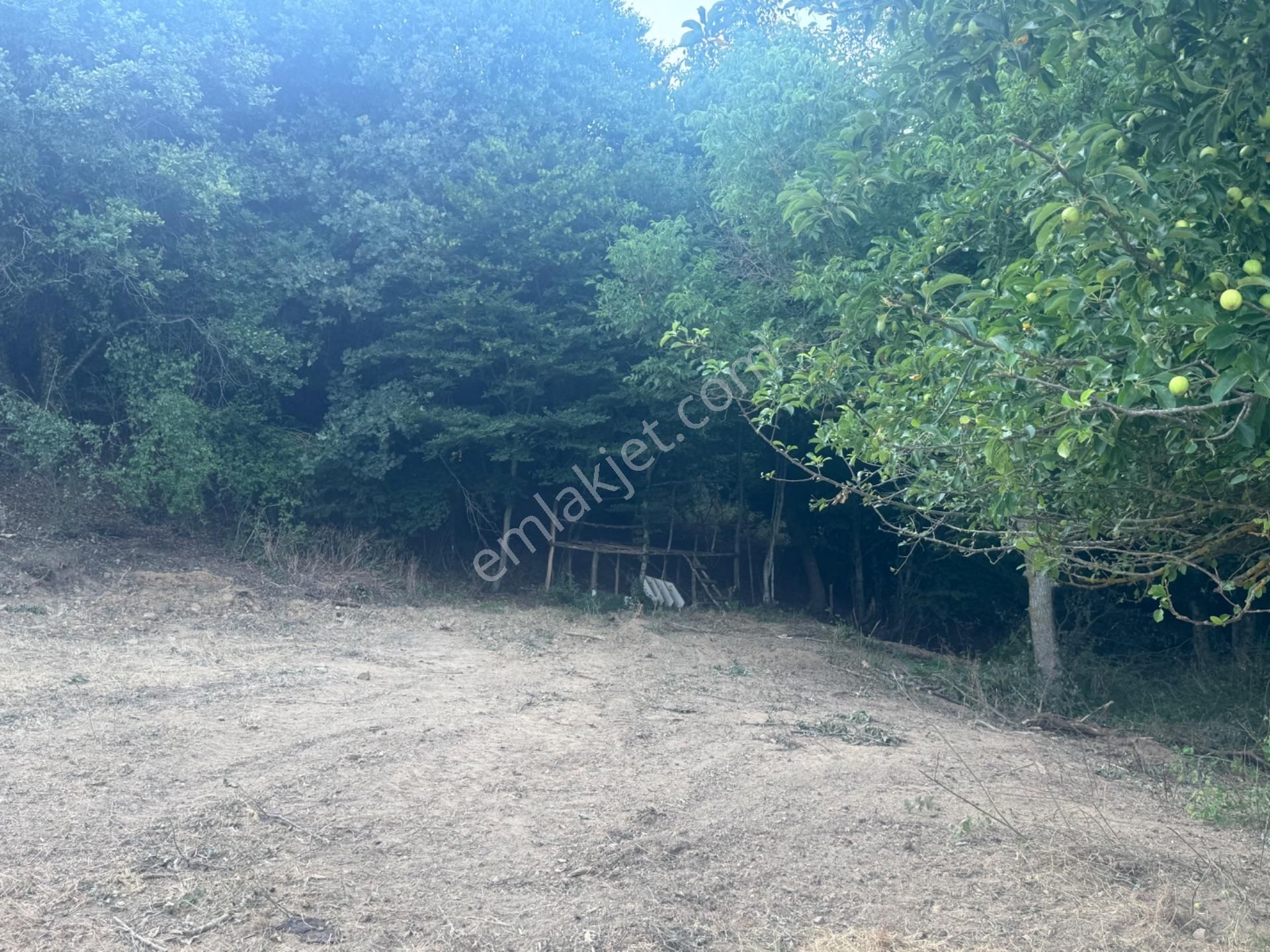 Kumla Konak Emlak'tan Haydariyede İmarlı 3 Adet Arsa Seç Beğen Al - Görsel 22