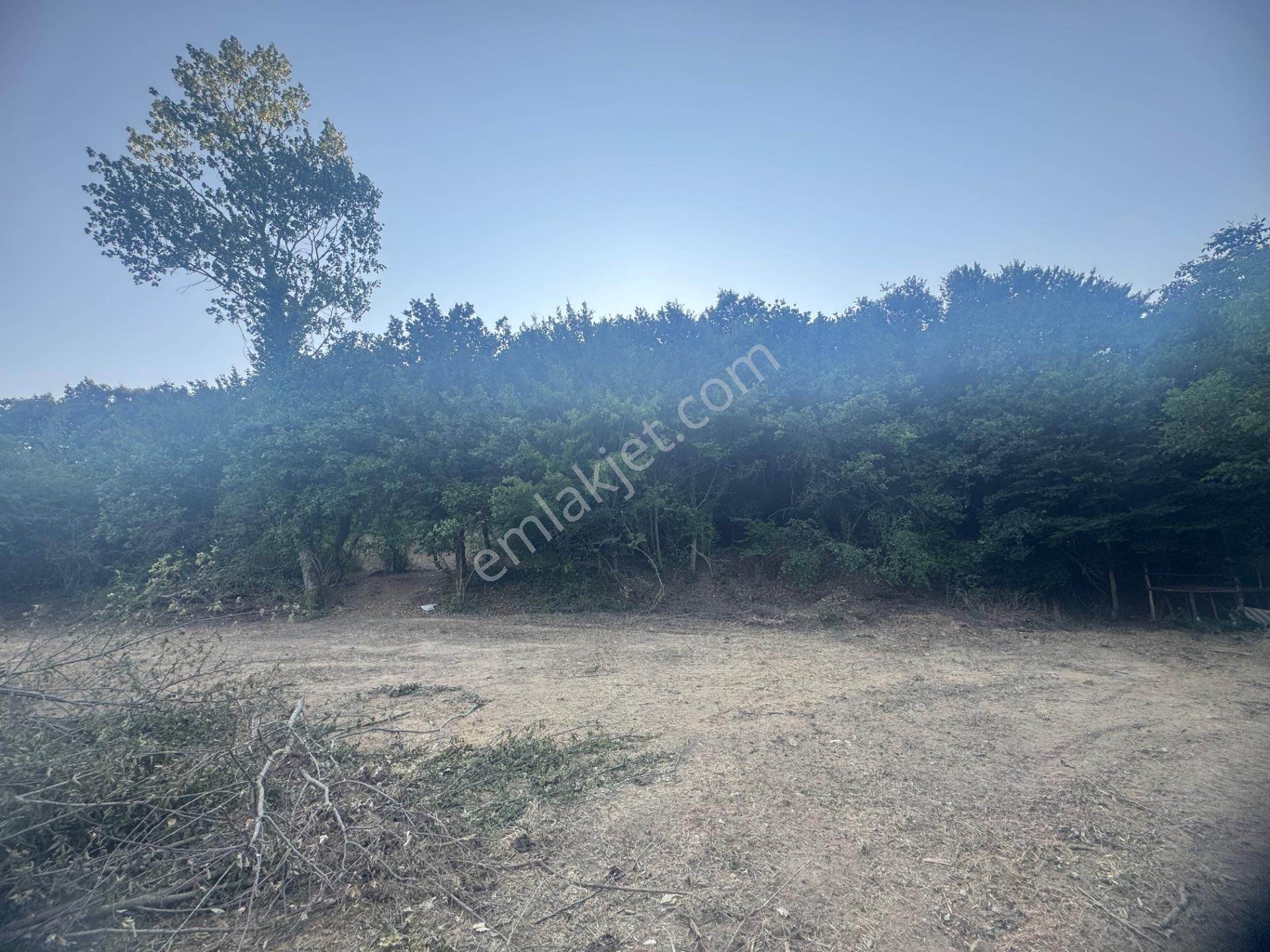 Kumla Konak Emlak'tan Haydariyede İmarlı 3 Adet Arsa Seç Beğen Al - Görsel 24