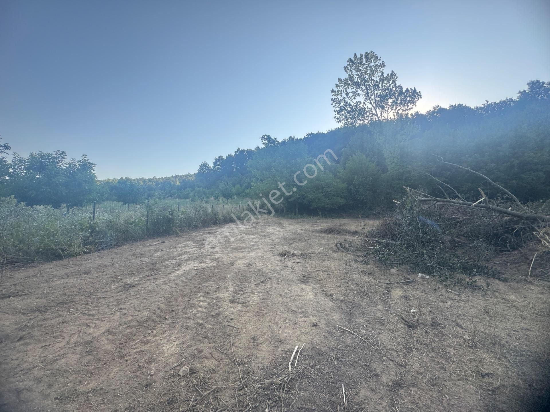 Kumla Konak Emlak'tan Haydariyede İmarlı 3 Adet Arsa Seç Beğen Al - Görsel 19