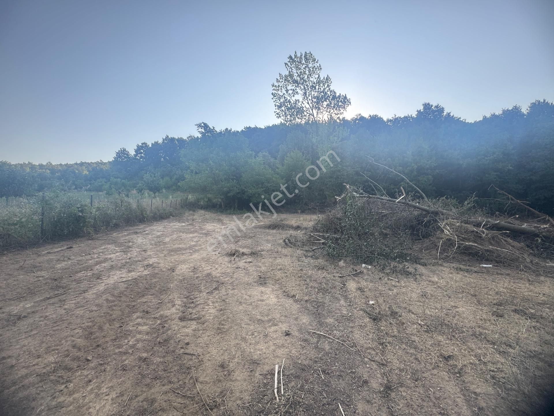 Kumla Konak Emlak'tan Haydariyede İmarlı 3 Adet Arsa Seç Beğen Al - Görsel 20