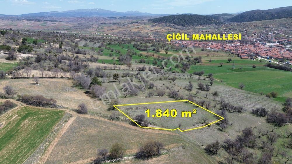 Konya / Ilgın / Aşağıçiğil-akpınar Mahallesinde 1.840 M² Müstakil Tapulu Bahçe
