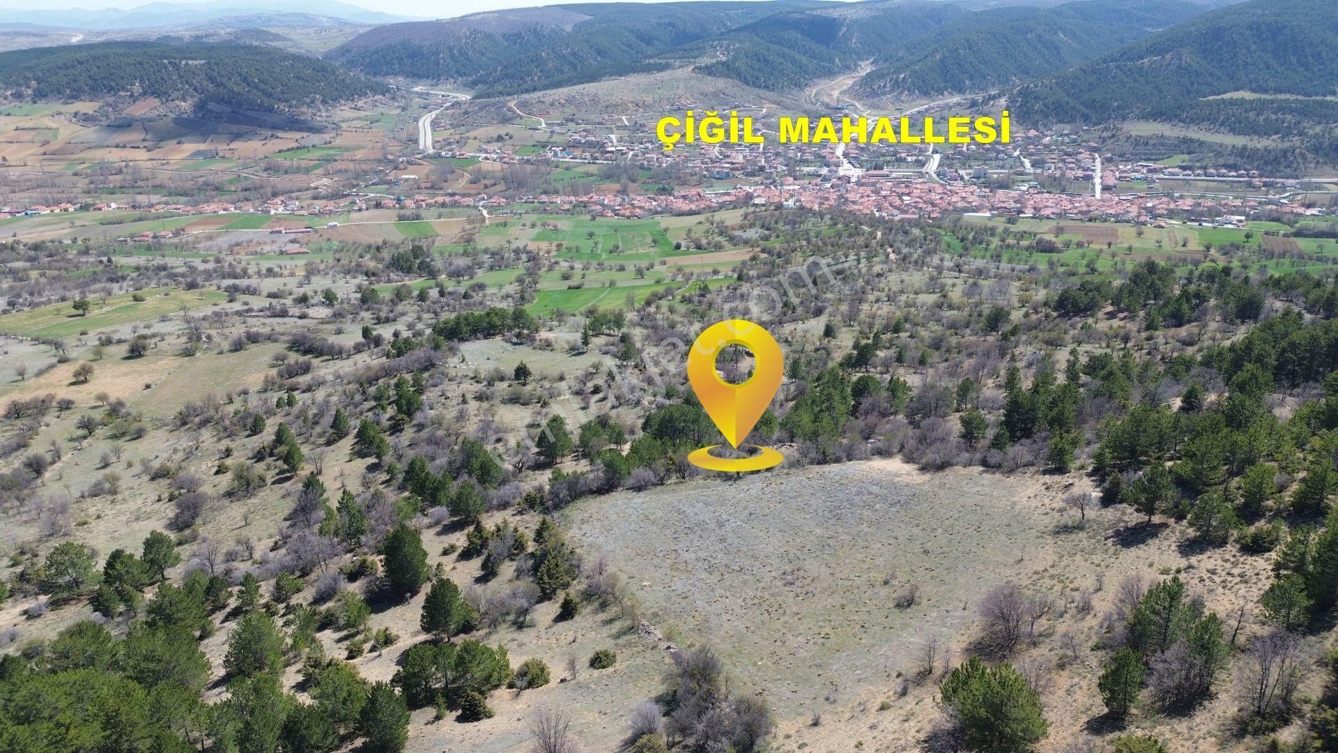 Konya / Ilgın / Aşağıçiğil-hacıali Mahallesinde 2.152 M² Müstakil Tapulu Bağ