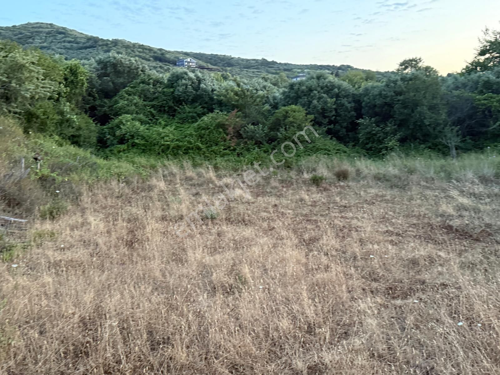 Sahil Yenicede Sahile Yürüme Mesefasesinde 1119 M2 Satılık Arazi
