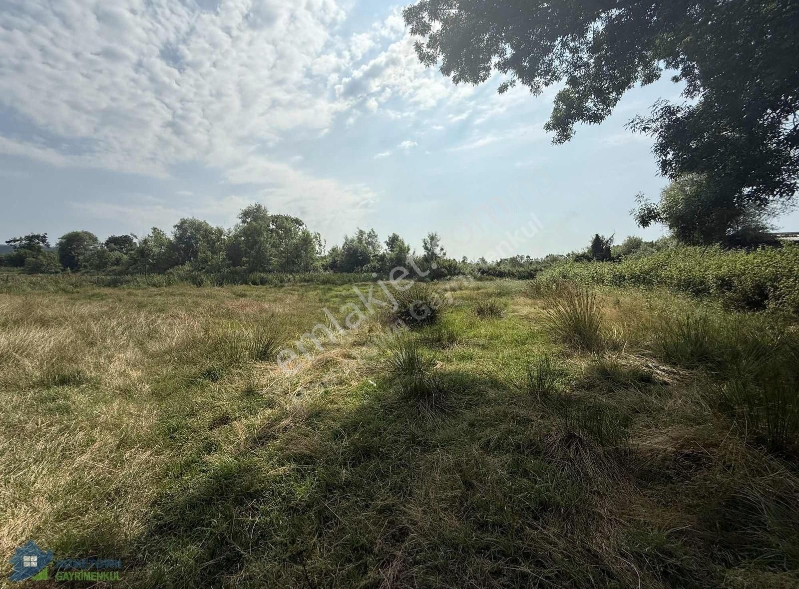 Sakarya Kocaali De Satılık Sanayi Arsası - Görsel 3