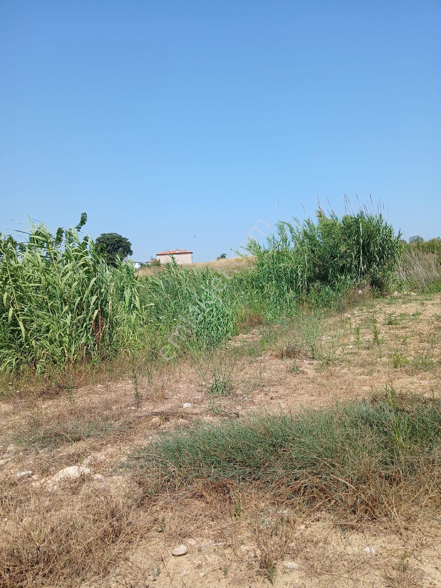 Manavgat Merkeze 9 Km. Dolbazlar/hatıplar Sınırında Tek Tapu Yol Su Elektriği Olan Arazi