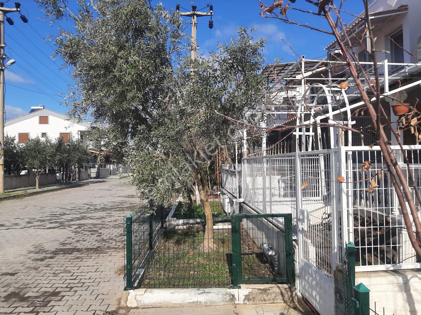 Ays Den Cumhuriyet Te Satılık Villa - Görsel 2