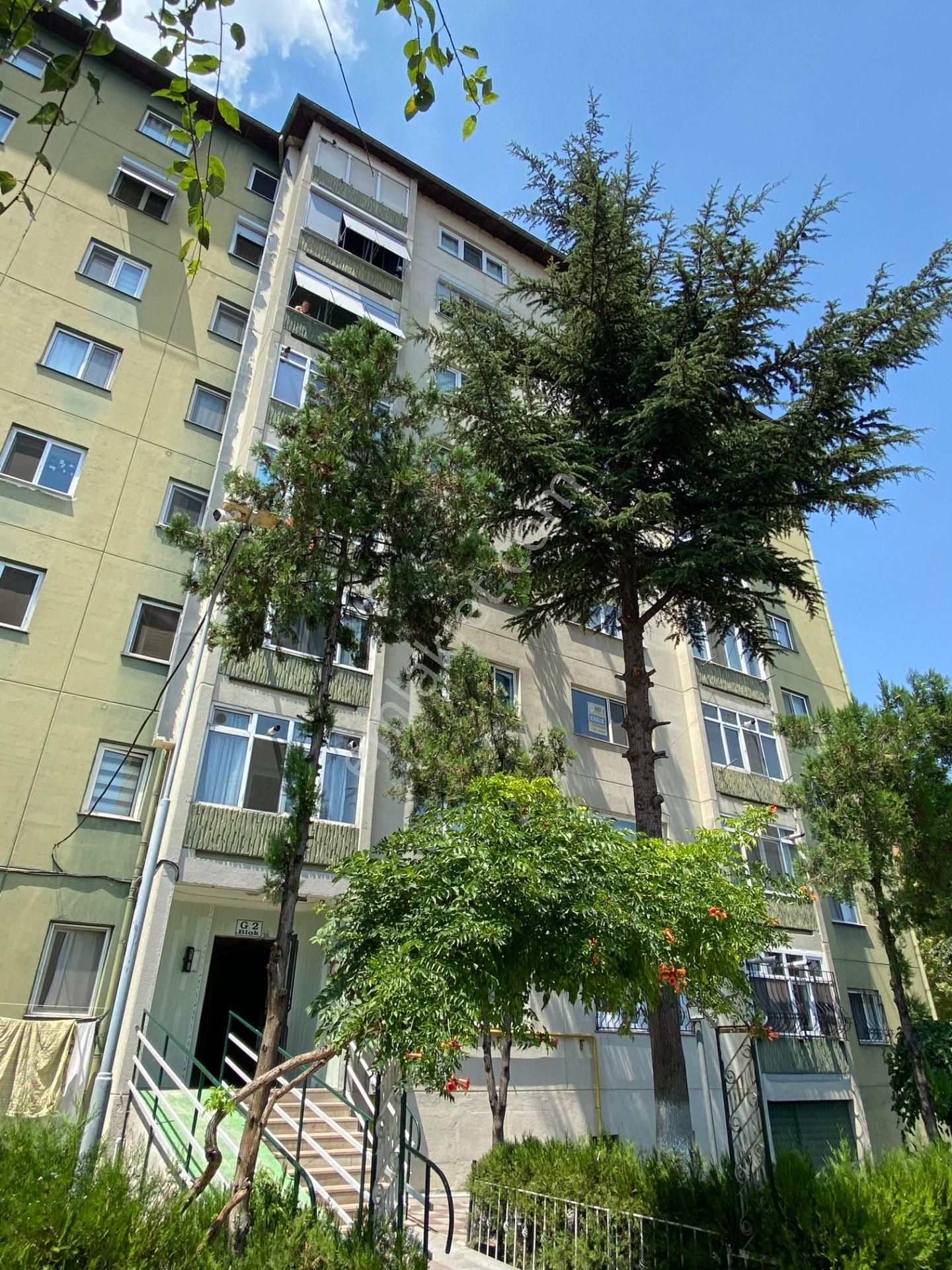 [nova] Yenidoğan Mh. - Site İçi - Arakat - 3+1 Kiralık Daire