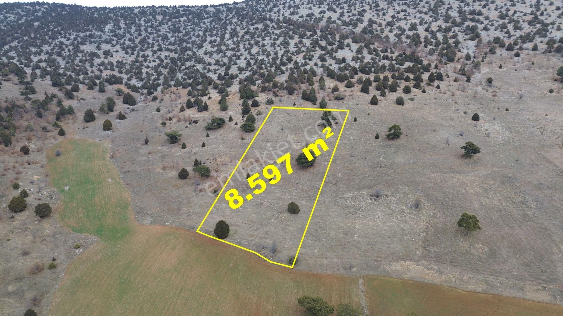 Konya / Ilgın / Gökçeyurt-özlem Mahallesinde 8.597 M² Müstakil Tapulu Tarla