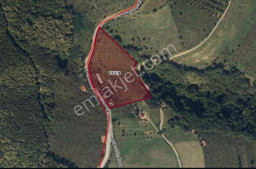 Akmeşe Atatürk Mahallesi’nde 16.411 M² Yatırımlık Tarla – 210 M Yol Cephesi, Şehre Çok Yakın