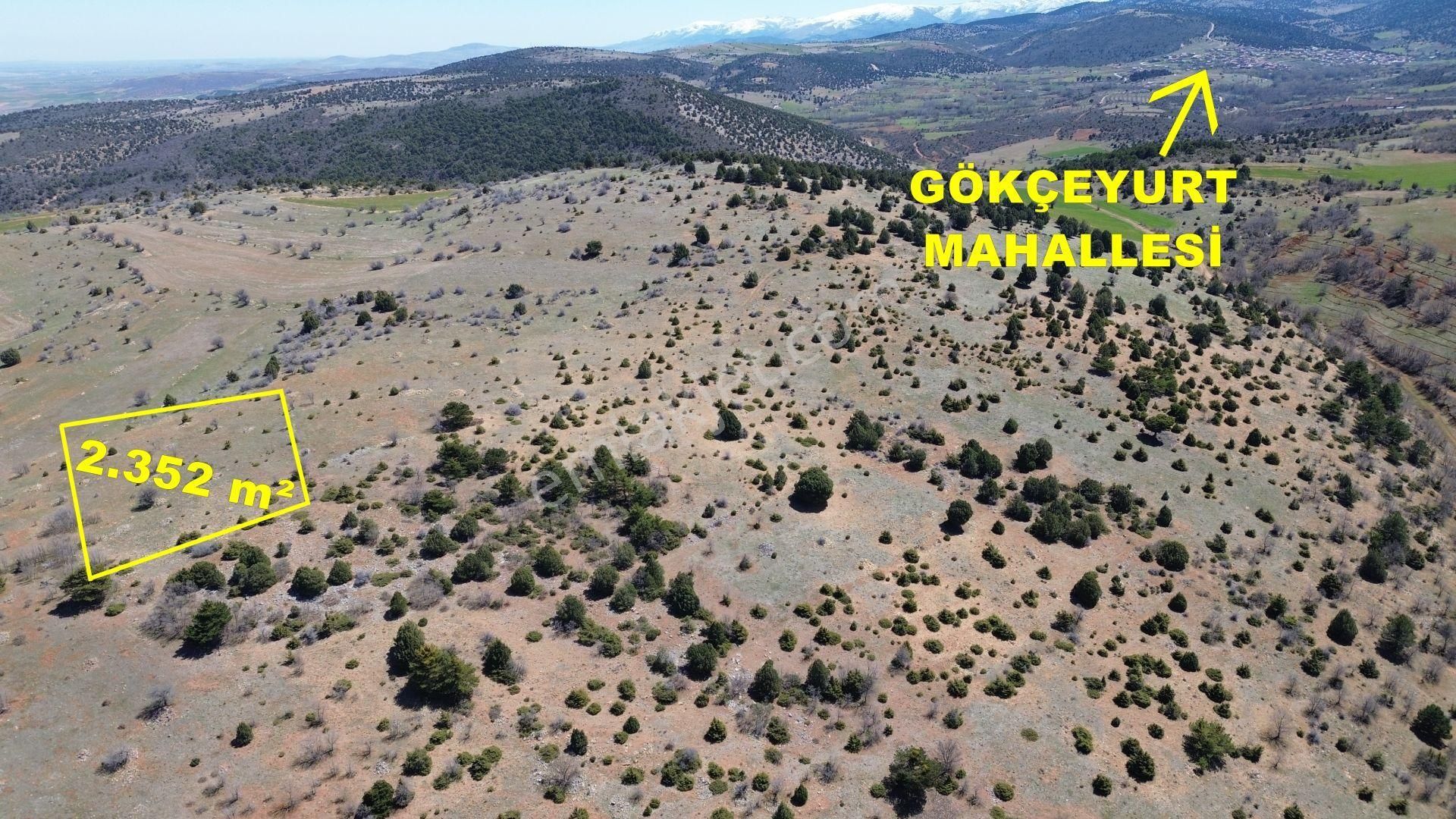 Konya / Ilgın / Gökçeyurt-gümüş Mahallesinde 2.352 M² Müstakil Tapulu Tarla
