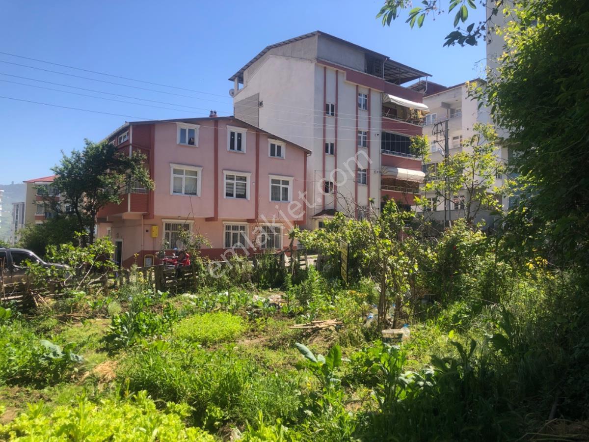 Hüseyin Ülkerden Köşe Arsa Derebahçede 155 Metrekare - Görsel 17