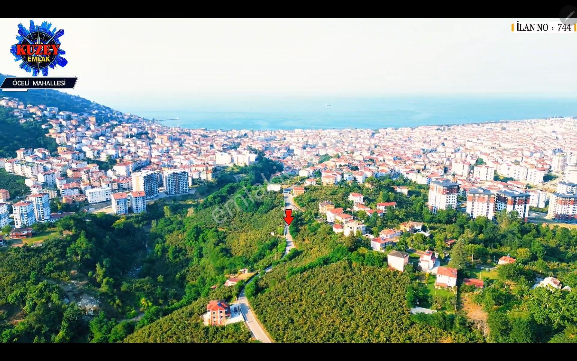 Altınordu/ordu Öceli Mahallesin'de Satılık Fındık Bahçesi - Görsel 3