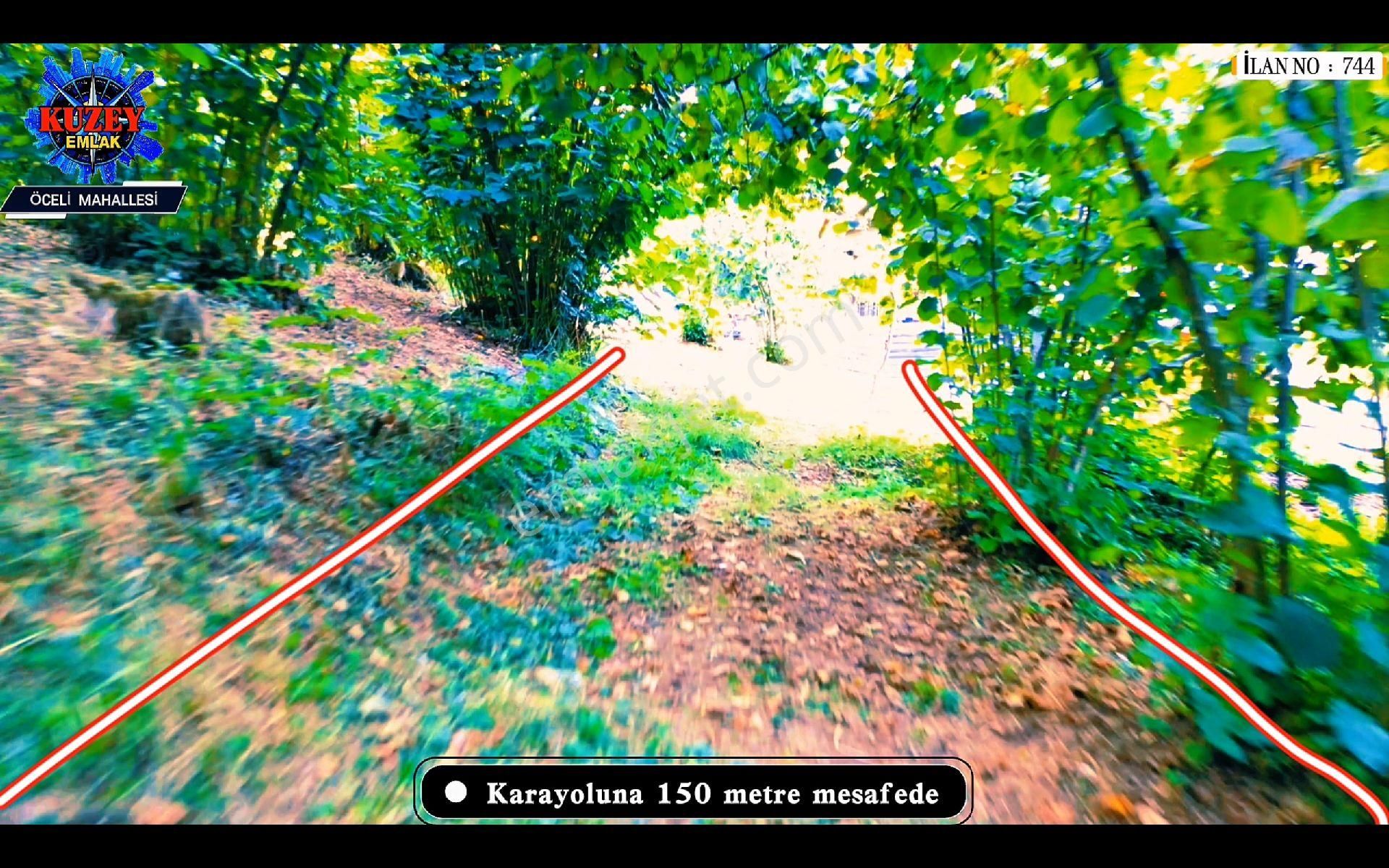 Altınordu/ordu Öceli Mahallesin'de Satılık Fındık Bahçesi - Görsel 8