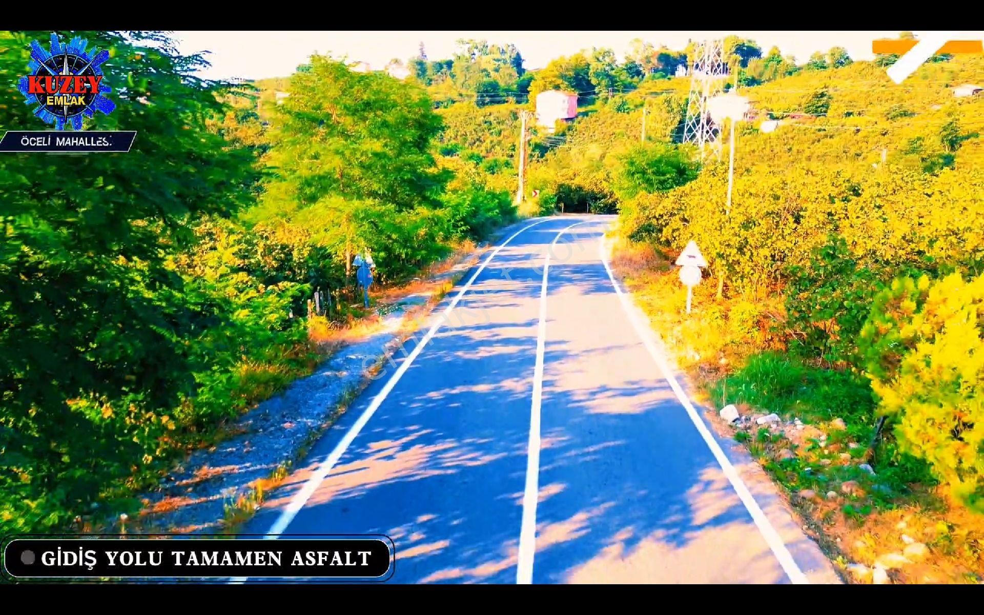 Altınordu/ordu Öceli Mahallesin'de Satılık Fındık Bahçesi - Görsel 4